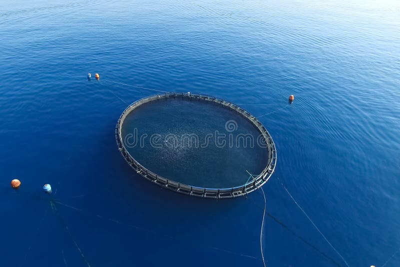 Fish Farm in the Sea, Fenced with Round Net Stock Image Image of