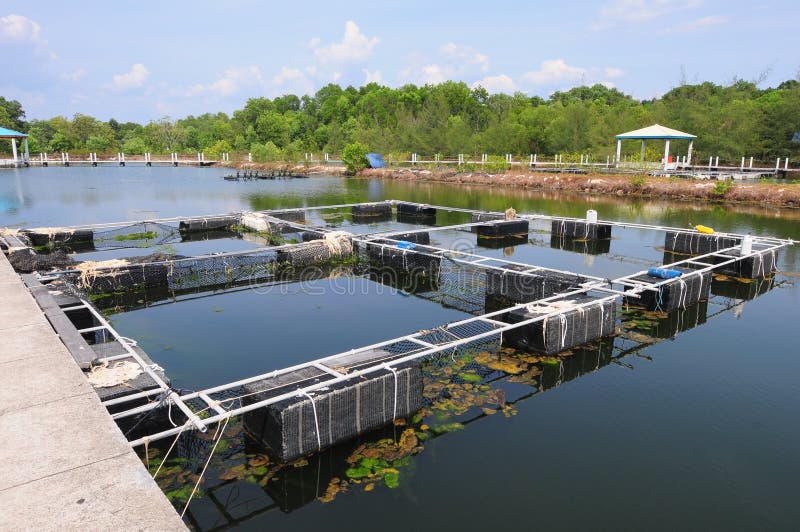 Fish farming net stock photo. Image of gate, feed, pond 30270184