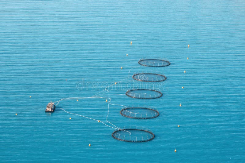 Fish Farming in Norway with Floating Cages and Ship Aerial View Stock Image  - Image of fish, norge: 173244999