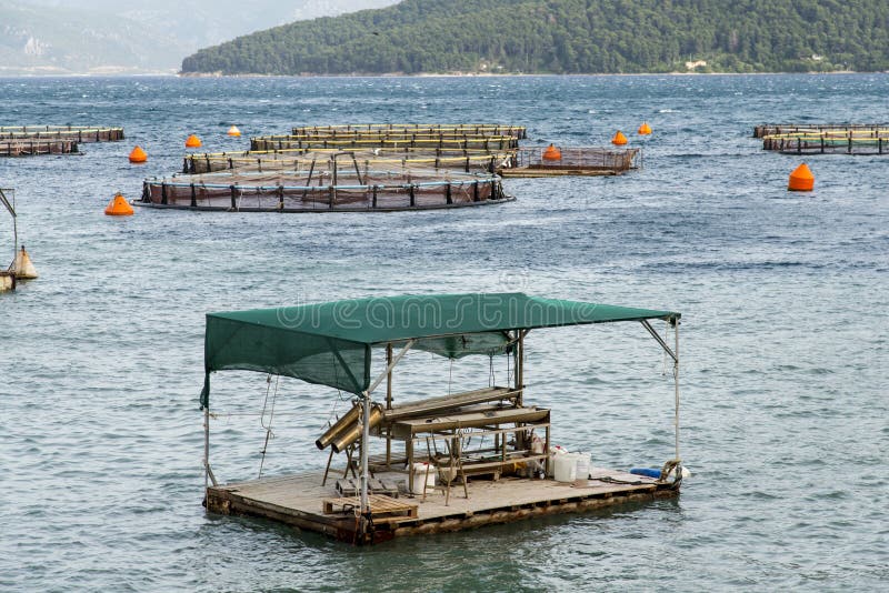 15,150 Sea Farming Photos Free & RoyaltyFree Stock Photos from