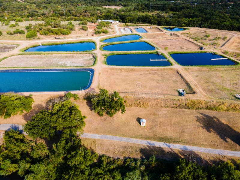 Fish Farming in Texas Aerial Drone View Stock Image Image of farm, aerial 194509767