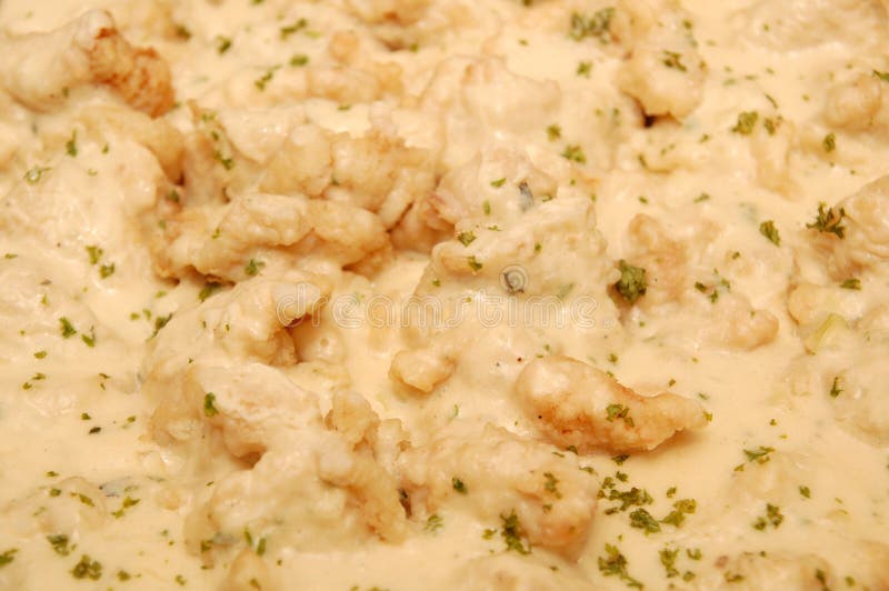 Fish Fillet with Cream Sauce Meal Stock Photo Image of cook, serve