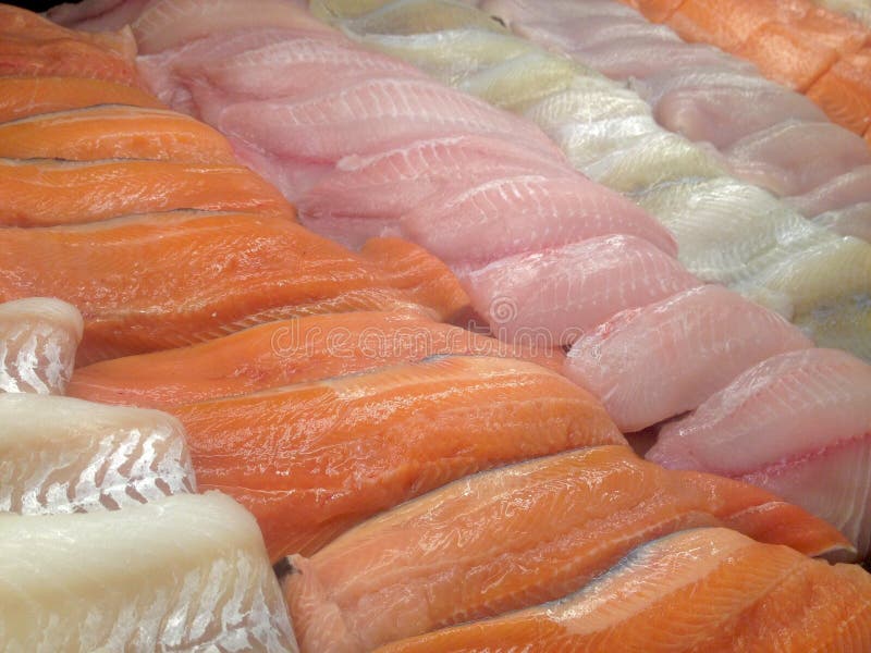 Fish fillets stock photo. Image of store, fillet, display 118652744