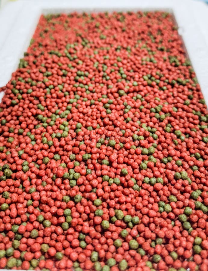 Fish food royalty free stock photo Fish food royalty free stock photo