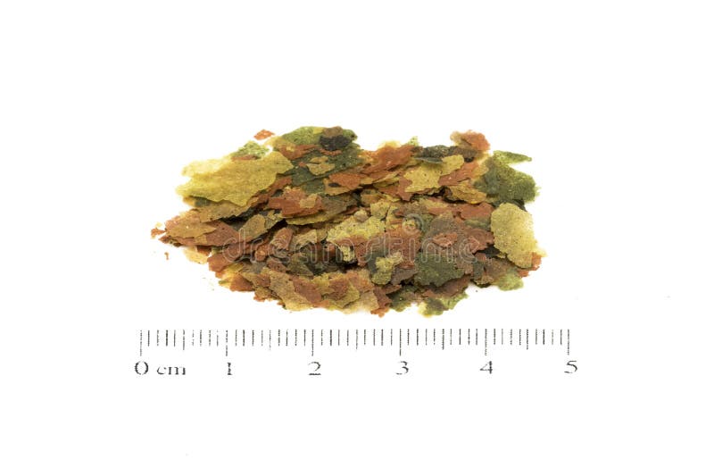 Fish food 18 stock photography