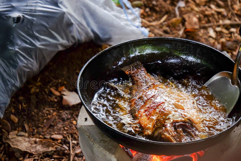 Fish in frying pan stock photo. Image of boiling, breakfast 57488204