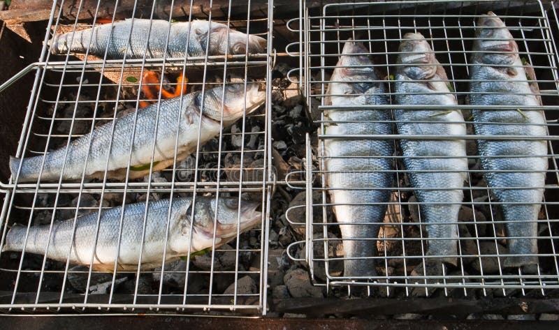 Fish on a grill