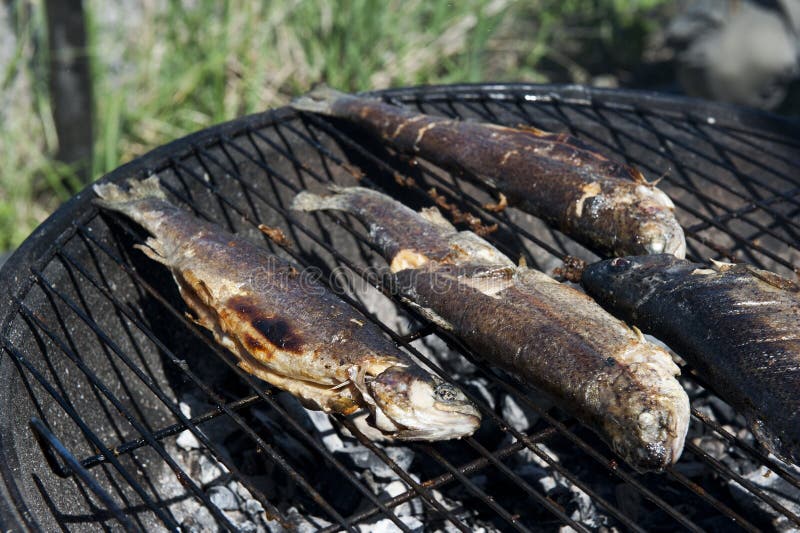 Fish on grill