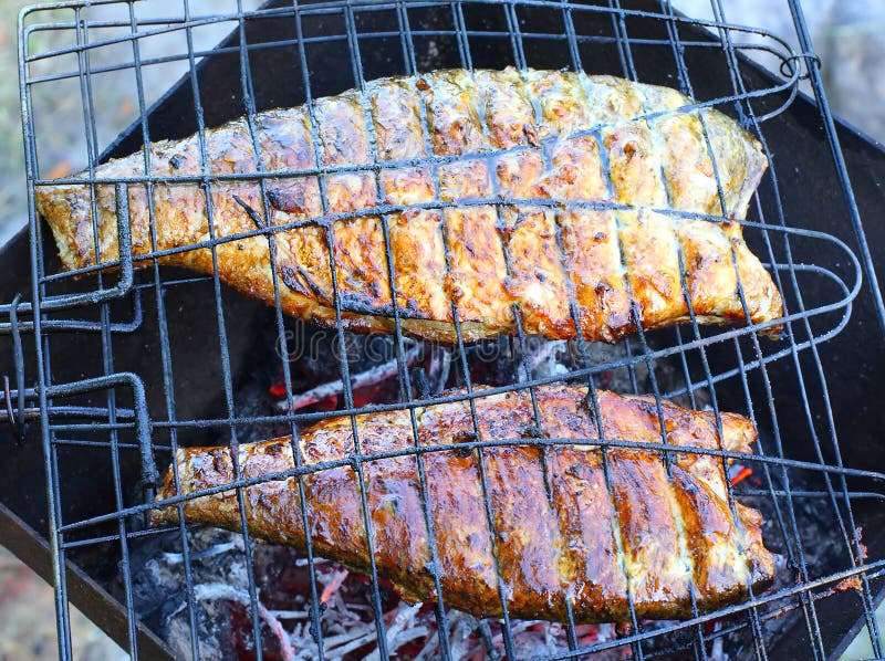 Fish on the grill. stock photo. Image of close, fire 25513884