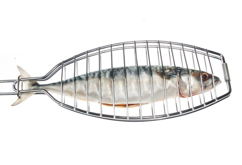 Fish in grill