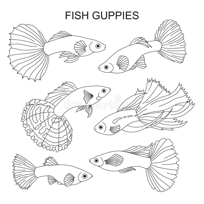 Guppy Fish Page Coloring Pages