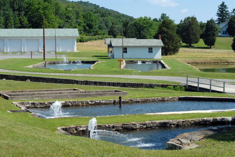 Fish Hatchery