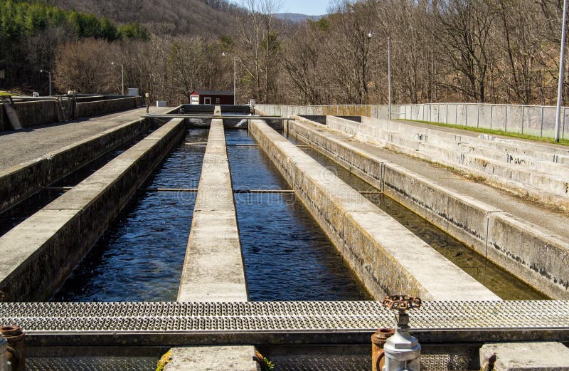 Paint Bank, VA - April 1; Paint Bank fish hatchery in the mountains of Western Virginia. Paint Bank, Virginia USA on the 1st of April 2014. Paint Bank, VA - April 1; Paint Bank fish hatchery in the mountains of Western Virginia. Paint Bank, Virginia USA on the 1st of April 2014.