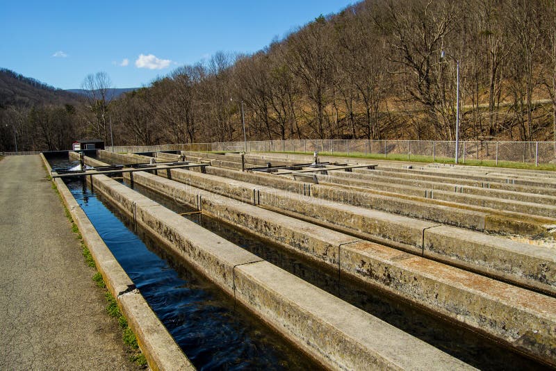 Paint Bank, VA - April 1; Paint Bank fish hatchery in the mountains of Western Virginia. Paint Bank, Virginia USA on the 1st of April 2014. Paint Bank, VA - April 1; Paint Bank fish hatchery in the mountains of Western Virginia. Paint Bank, Virginia USA on the 1st of April 2014.