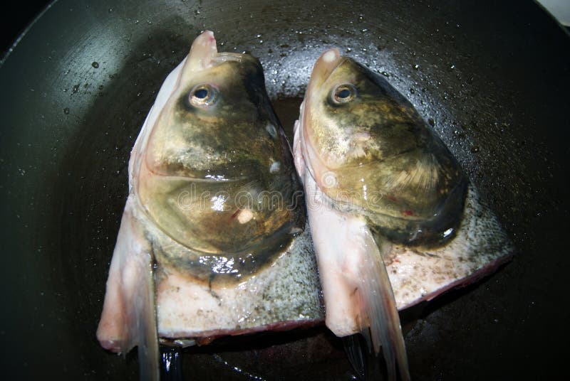 fish heads fish heads fish heads fish heads