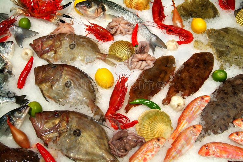 Showcase in a restaurant with fish and molluscs. Showcase in a restaurant with fish and molluscs