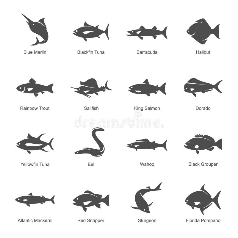 Fish Line Icon Stock Illustrations – 101,186 Fish Line Icon Stock  Illustrations, Vectors & Clipart - Dreamstime