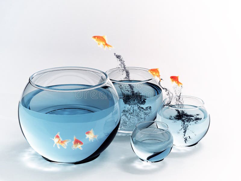 Fish jumping royalty free stock images Fish jumping royalty free stock images