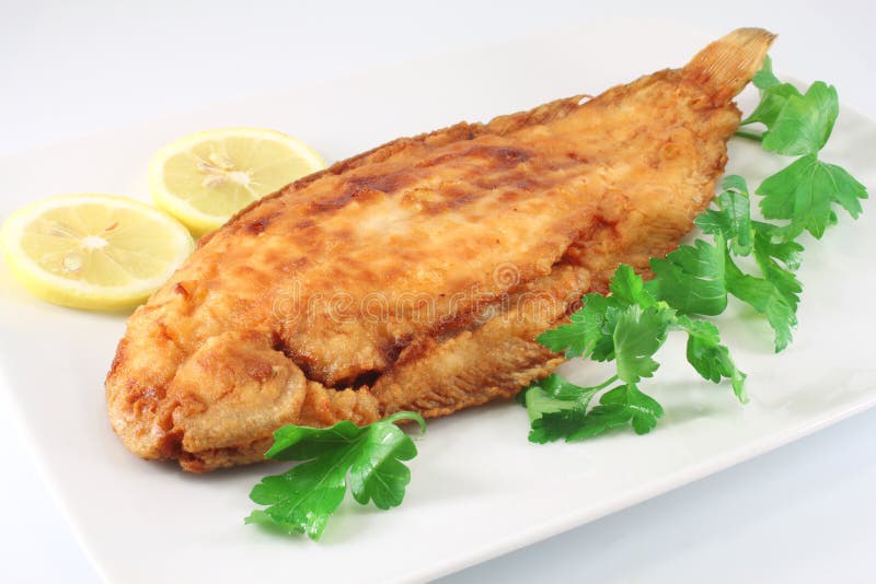 Fish lemon sole stock photo. Image of food, delicious 36614738
