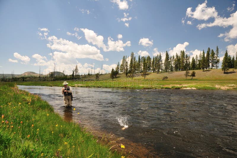 Fish on a line