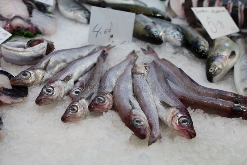 Fish at the market