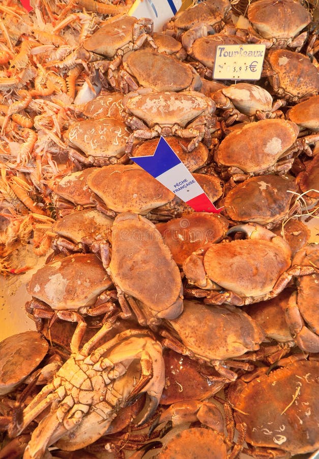 Fish market stock photo. Image of crustacean, health 27777974