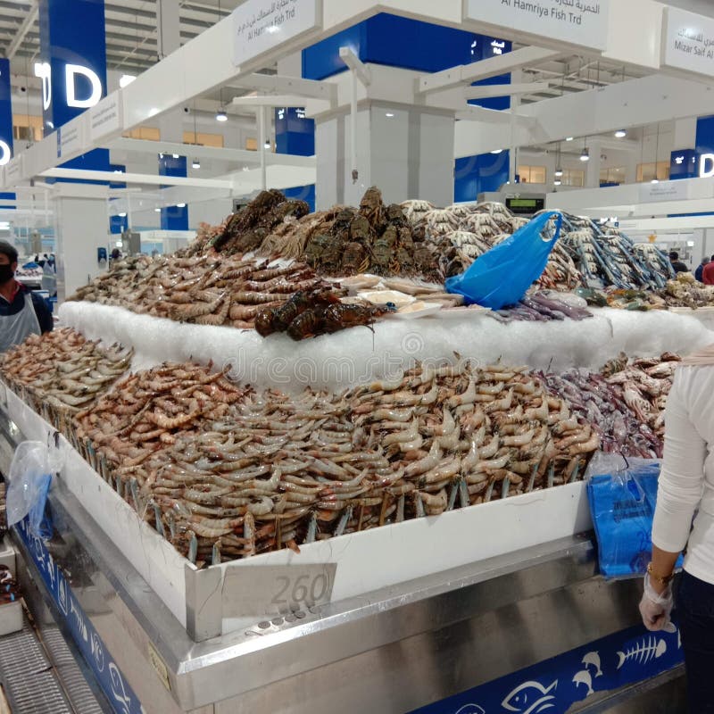 Fish Market Deira Dubai UAE Editorial Photo Image of marketplace