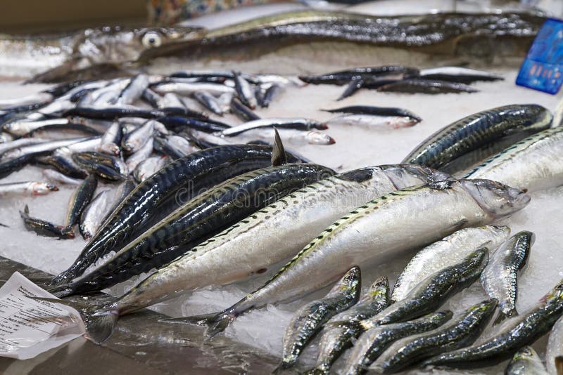 Fish market stock image. Image of cold, east, united 97317615