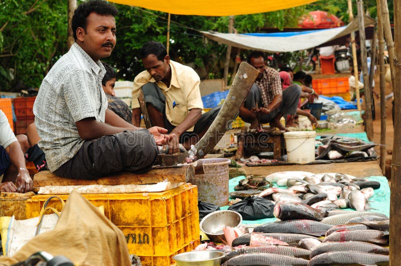 Fish market in India editorial photo. Image of fish, selling 19902116