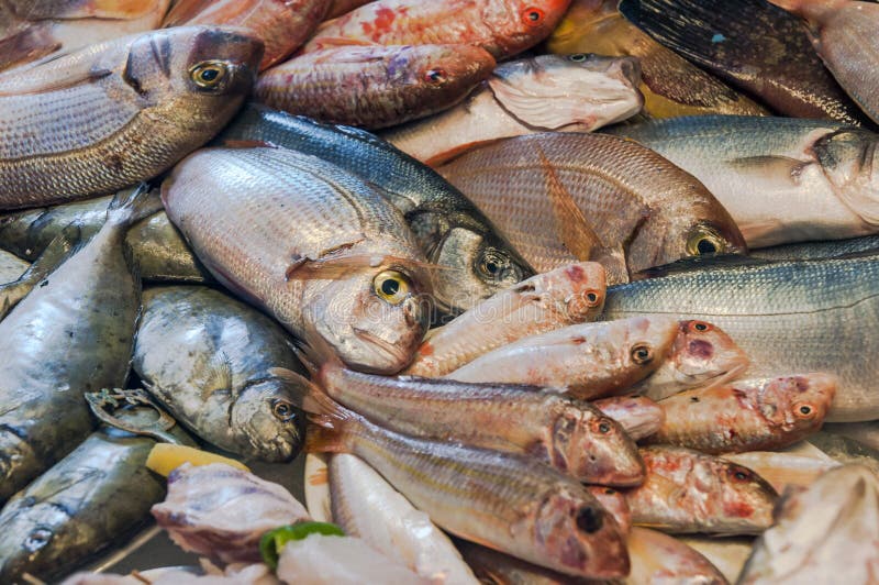 Fish in market