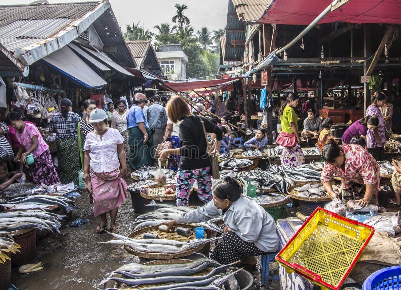 Fish market