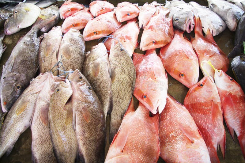 At The Fish Market In Victoria, Seychelles Royalty Free Stock Images