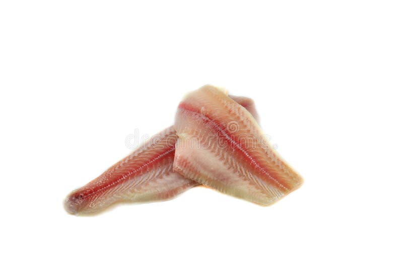 Fish meat fresh stock photo. Image of brown, fresh, closeup 56012798