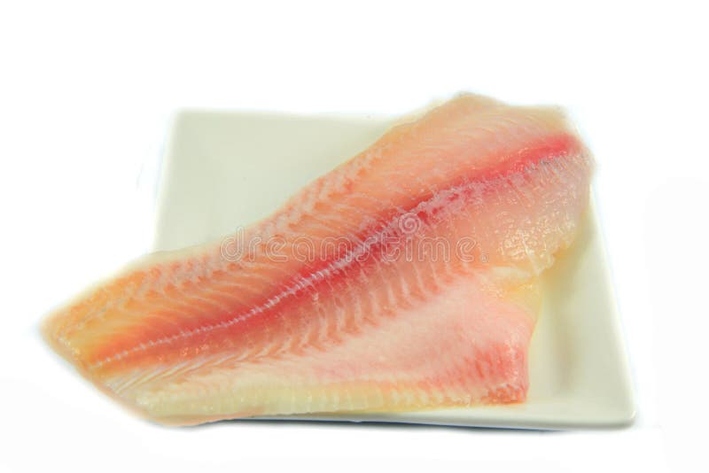 Fish meat fresh stock photo. Image of animal, worm, farber 56015866
