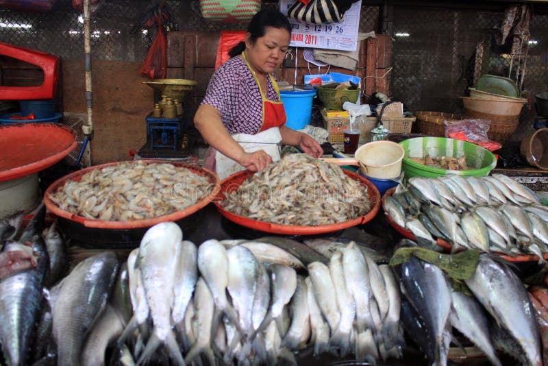 Fish editorial stock photo. Image of shoppers, indonesia 34506483