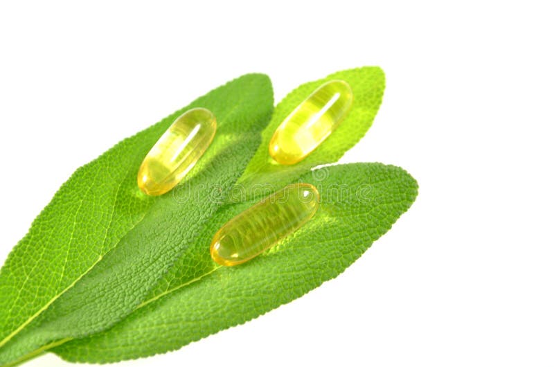 Fish Oil Capsules on Sage Leaves Stock Image Image of healthy, macronutrients 31216461