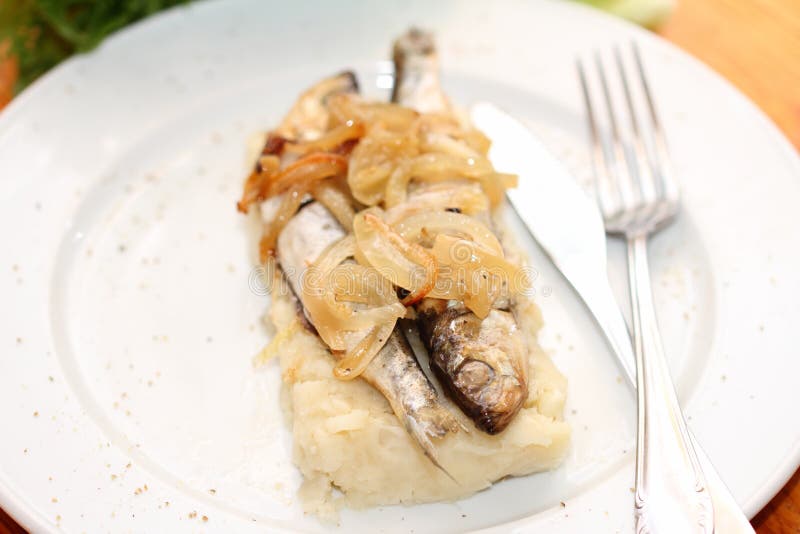 Fish with onions sauce stock image. Image of gastronomy 53194599