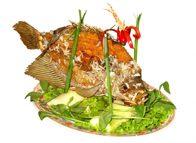 Fish plate stock photo. Image of meal, grilled, lunch 31231484