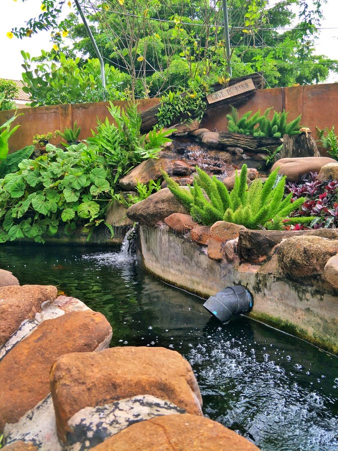 Fish Pond Bali Style with Ornamental Plants. Stock Image - Image