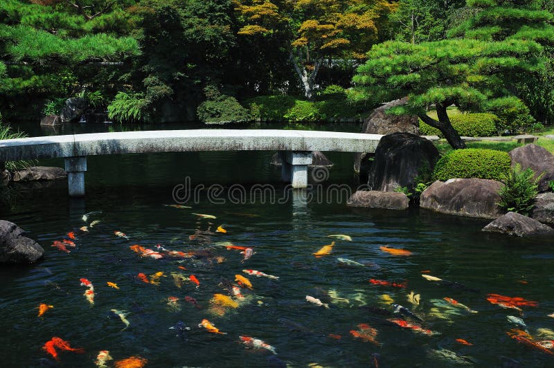 Pond in Japan stock photo. Image of deep, nature, japan - 182546932