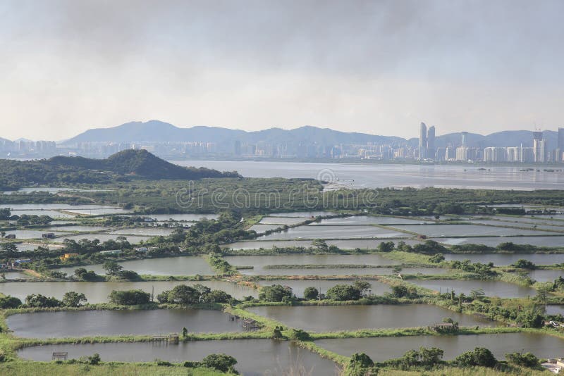 Fish Ponds in yuen long 1 june 2014