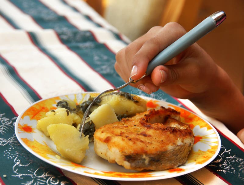Fish with Potatoes stock image. Image of gourmet, healthy 31049387