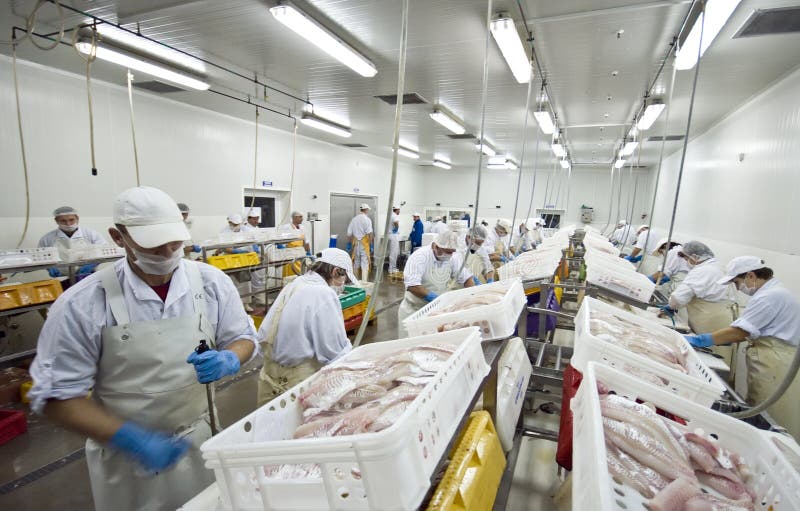 Fish processing factory