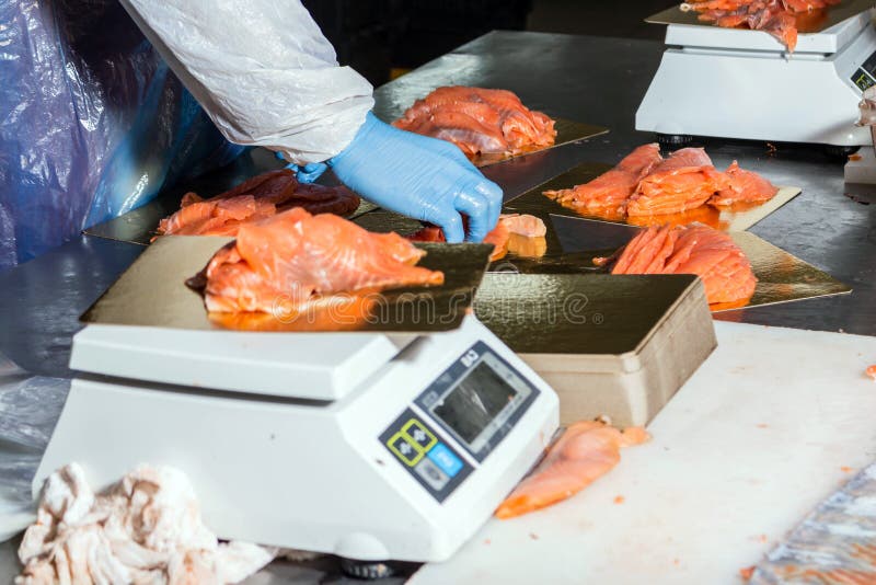 Fish Production. Worker Weighs Fish Pieces on the Scales. Packaging