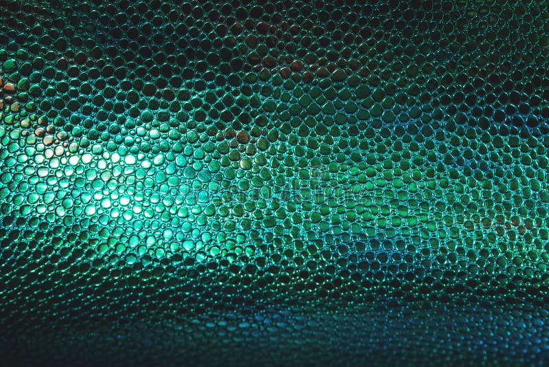 Fish or reptile scale dark moody background