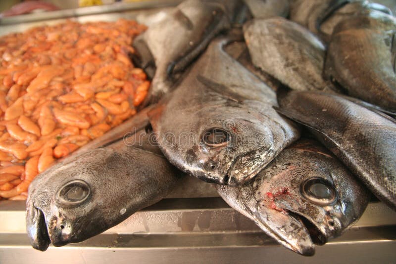 Fish On Sale Picture. Image 9767055