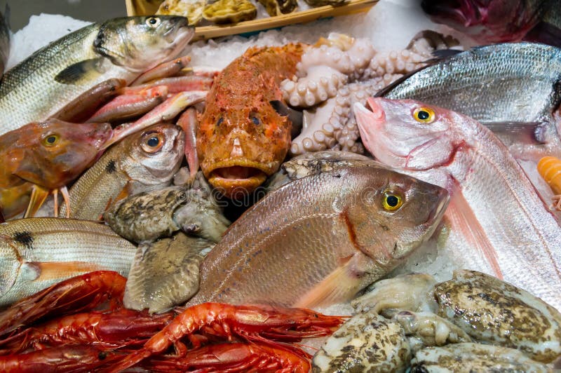 Fish and seafood stock image. Image of cooking, seafood 30363197
