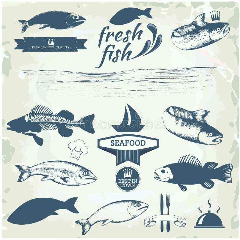 Fish stock illustration