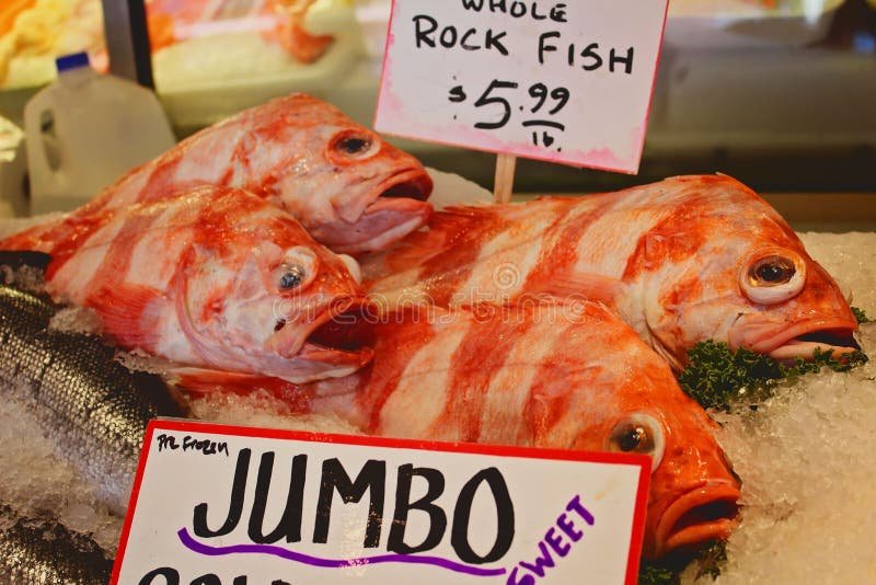 Fish stock image. Image of jumbo, market, fish, seattle 98040649