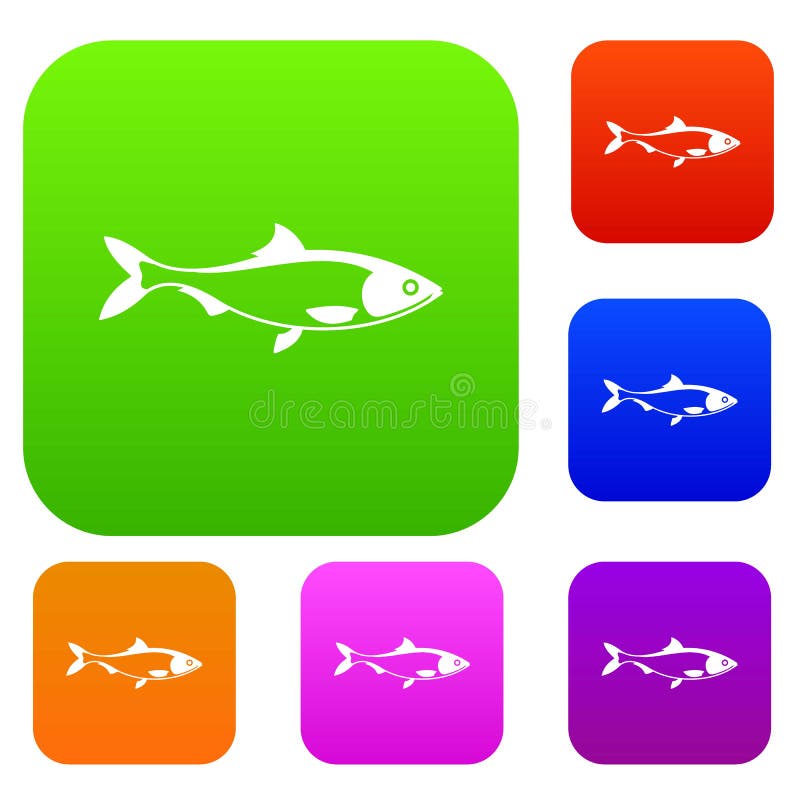 Fish set collection stock vector. Illustration of fauna 98778000